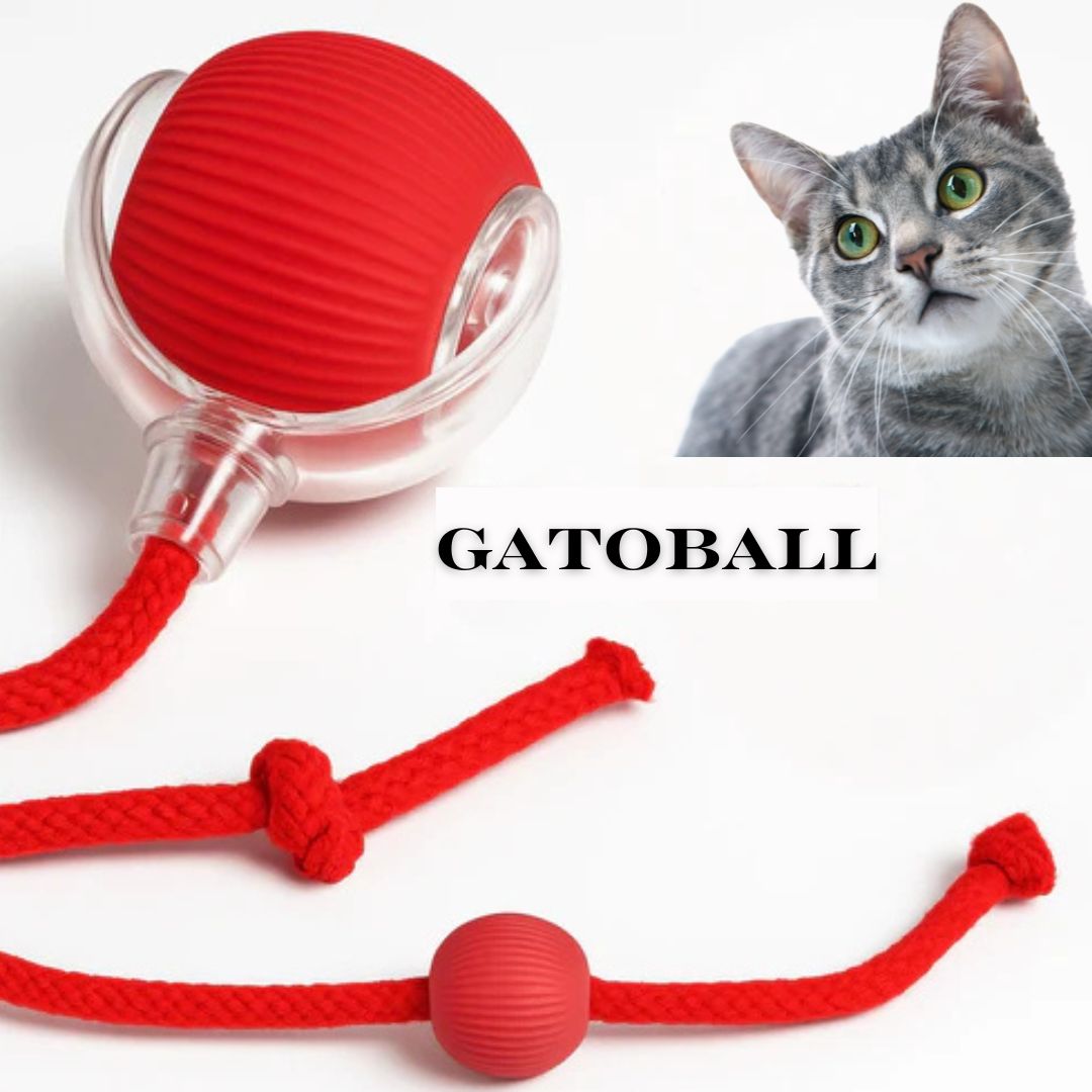GatoBall® - PELOTA INTERACTIVA PARA GATOS