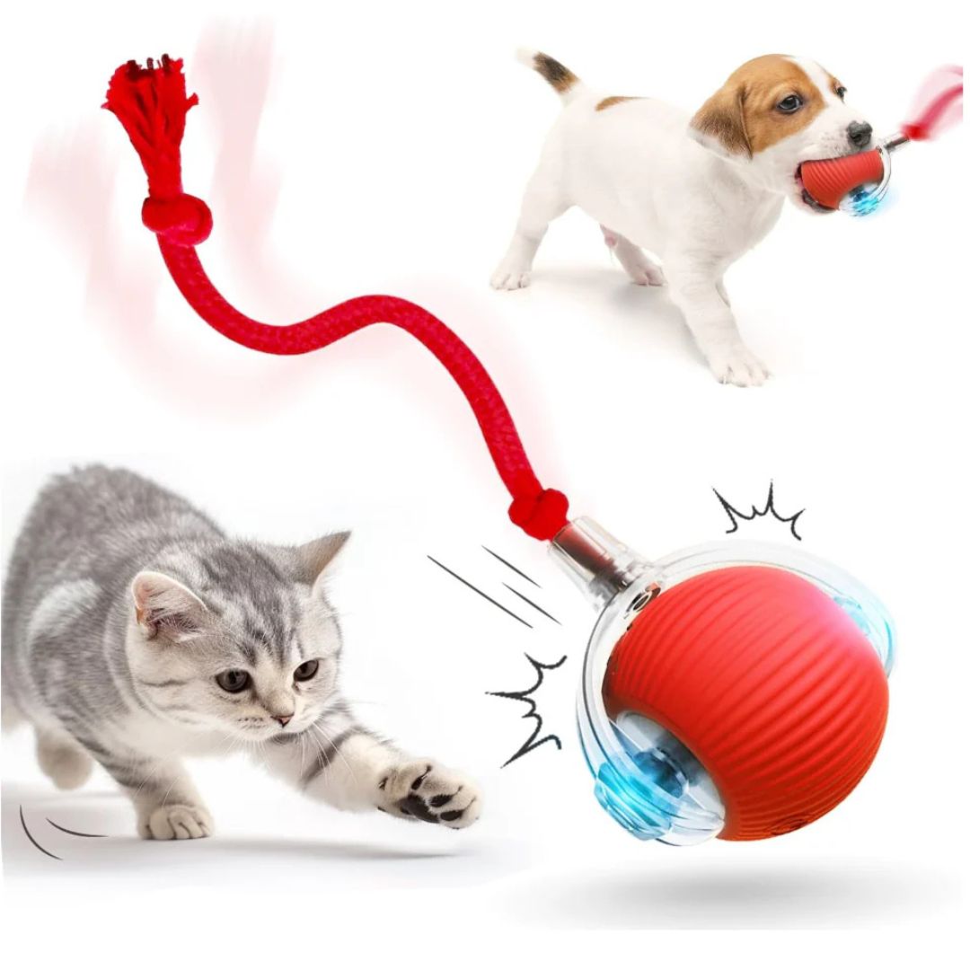 GatoBall® - PELOTA INTERACTIVA PARA GATOS