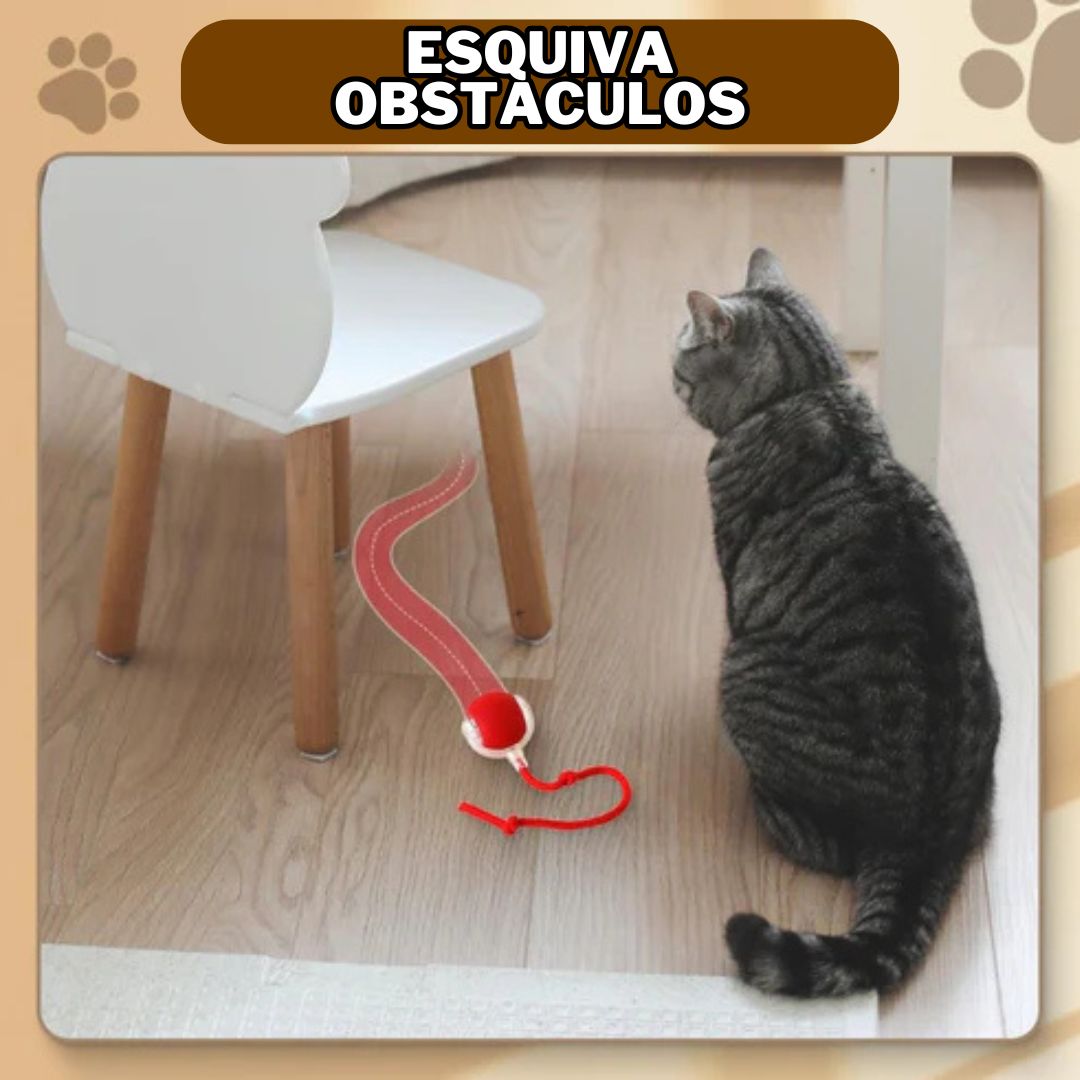 GatoBall® - PELOTA INTERACTIVA PARA GATOS